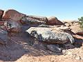 Moab 09 225